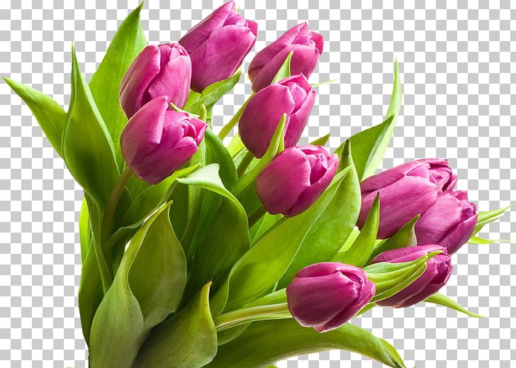 Flower Bouquet Tulip Leaf Petal PNG, Clipart, 1080p, Blue Rose, Bud, Cut Flowers, Desktop Wallpaper Free PNG Download