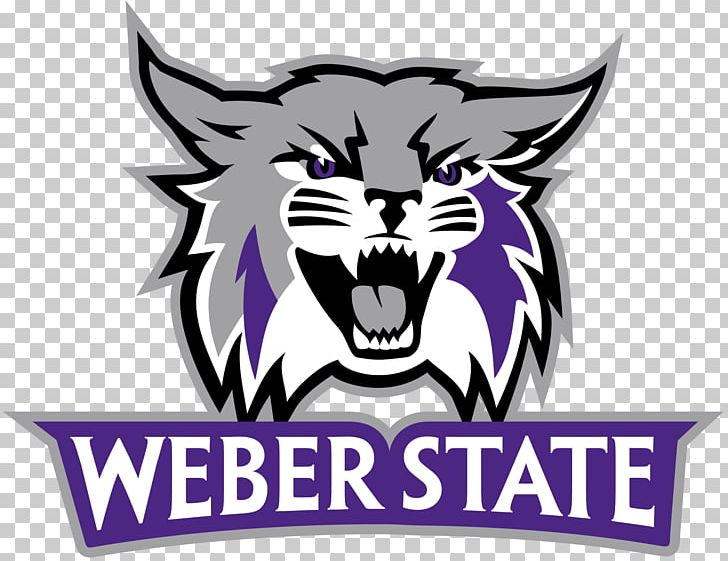 Weber State Wildcats Football Weber State University Weber State Wildcats Men's Basketball Weber State Wildcats Women's Basketball Arkansas Razorbacks Football PNG, Clipart, American Football, Beehive, Carnivoran, Cartoon, Coach Free PNG Download