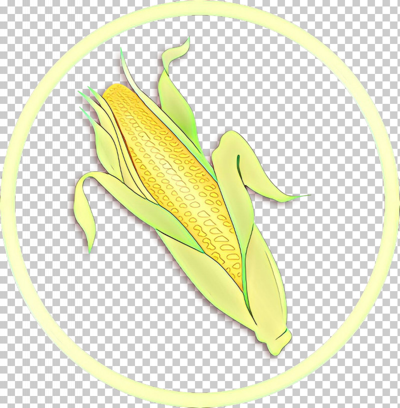 Corn On The Cob Yellow Plant Leaf Vegetarian Food PNG, Clipart, Corn On The Cob, Flower, Leaf, Nepenthes, Plant Free PNG Download