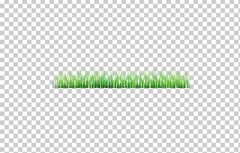 Green Grass Plant Grass Family Lawn PNG, Clipart, Artificial Turf, Grass, Grass Family, Green, Lawn Free PNG Download