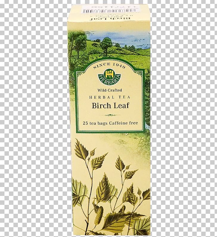 Herbal Tea Tea Bag Grocery Store PNG, Clipart, Bag, Betula Pendula, Caffeine, Cyclopia, Grass Free PNG Download