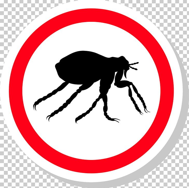 Insect Pest Control Flea Treatments PNG, Clipart, Animal, Apartment, Area, Artwork, Bed Bug Free PNG Download