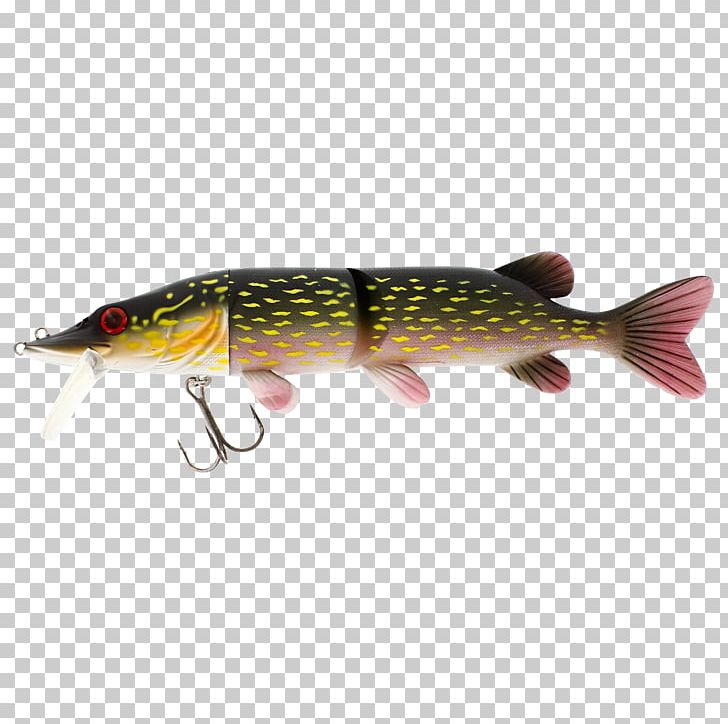 Northern Pike Fishing Baits & Lures Plug Fishing Tackle PNG, Clipart, Angling, Bait, Bony Fish, European Perch, Fish Free PNG Download
