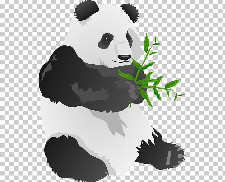 Giant Panda Bear PNG, Clipart, Bear, Blog, Carnivoran, Clip Art, Computer Icons Free PNG Download
