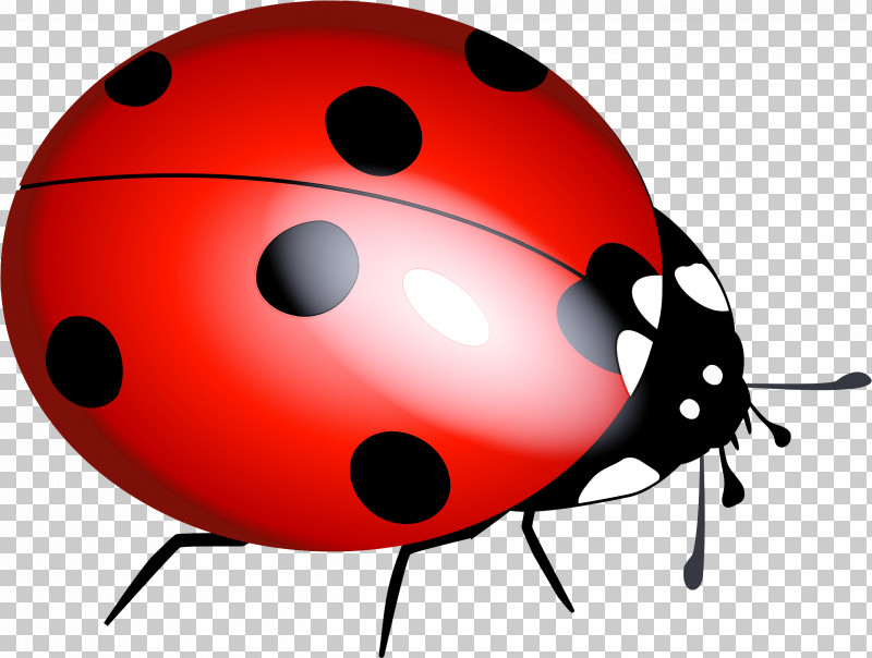 Ladybug PNG, Clipart, Beetle, Insect, Ladybug, Leaf Beetle Free PNG Download