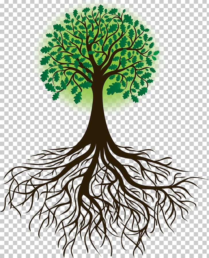 Drawing Root Tree PNG, Clipart, Branch, Dense, Drawing, Flora, Foliage Free PNG Download