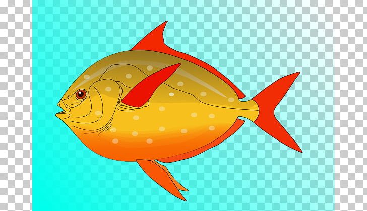 Freshwater Fish Clownfish PNG, Clipart, Clownfish, Fauna, Fish, Fish Art Pictures, Fish Products Free PNG Download