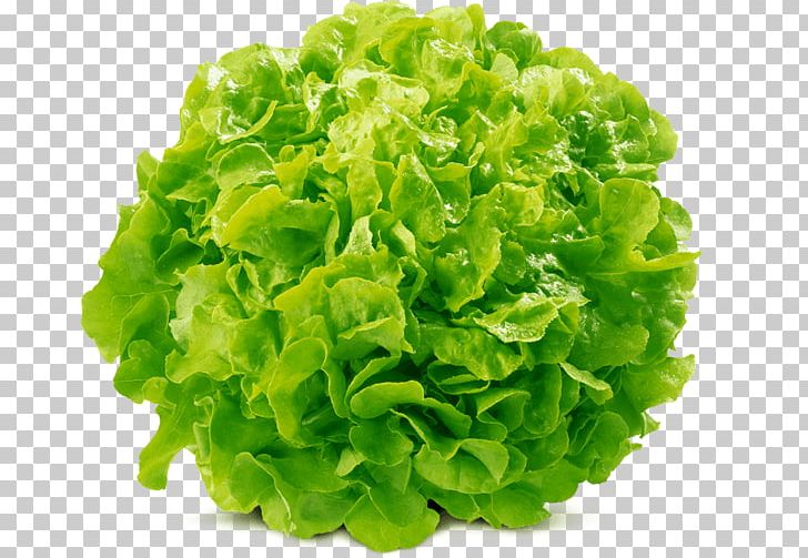 Romanesco Broccoli Cauliflower Mathematics Vegetable PNG, Clipart, Brassica Oleracea, Bro, Cauliflower, Celery, Fibonacci Free PNG Download