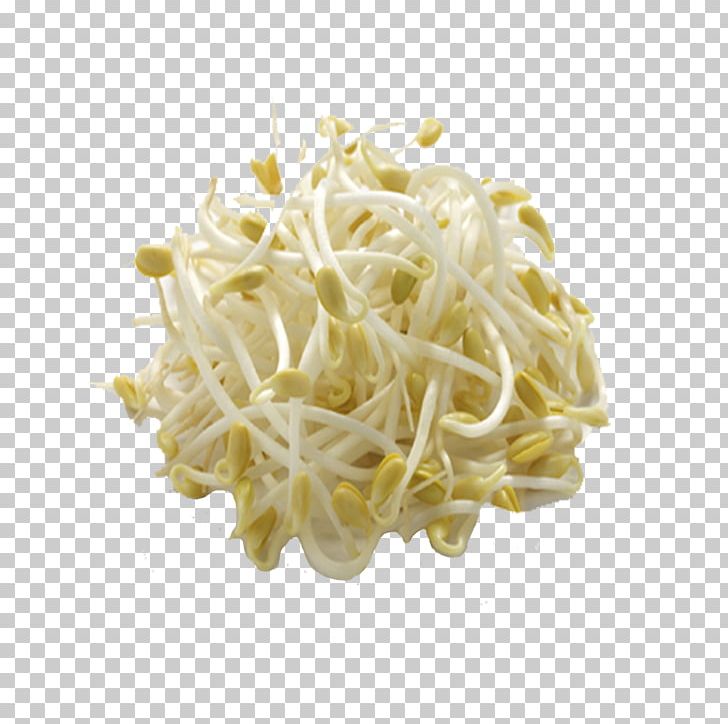 Sprouting Soybean Sprout Chinese Cuisine Mung Bean Sprout Food PNG, Clipart, Alfalfa, Alfalfa Sprouts, Bean, Bean Sprouts, Brussels Sprout Free PNG Download