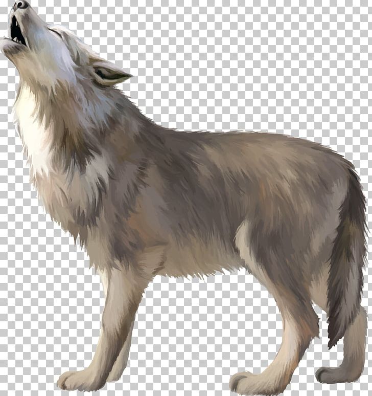 Gray Wolf PNG, Clipart, Animals, Carnivoran, Chart, Dog Breed, Dog Breed Group Free PNG Download