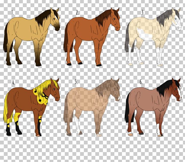 Mustang Pony Stallion Mare Pack Animal PNG, Clipart, Animal, Animal Figure, Fauna, Horse, Horse Like Mammal Free PNG Download