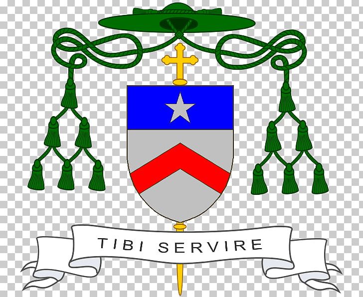 Roman Catholic Diocese Of Matagalpa Roman Catholic Diocese Of Bayonne PNG, Clipart, Anglicanism, Area, Artwork, Bishop, Cardinal Free PNG Download