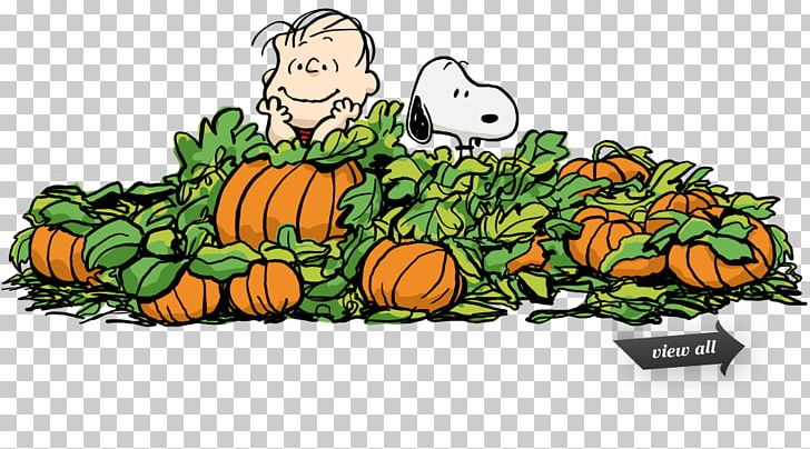 Snoopy Great Pumpkin Charlie Brown Linus Van Pelt Pig-Pen PNG, Clipart, Calabaza, Charlie Brown, Cucumber Gourd And Melon Family, Cucurbita, Drawing Free PNG Download