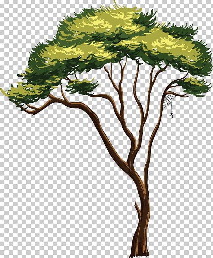 Stock Photography PNG, Clipart, Afrca, Branch, Conifer, Elephant, Forest Free PNG Download