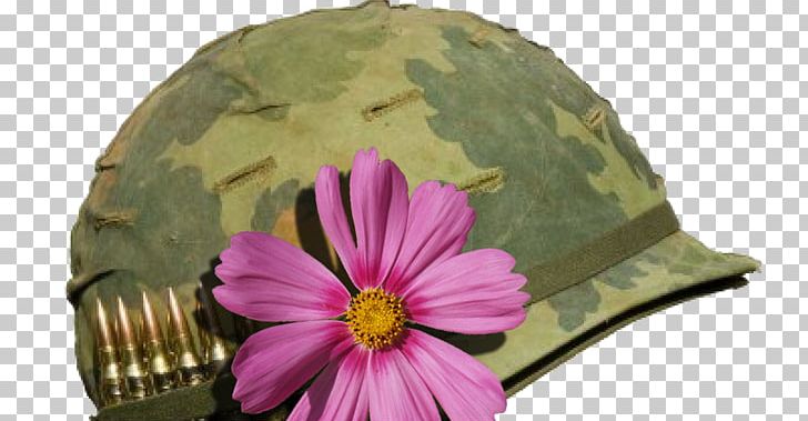 Vietnam War Combat Helmet M1 Helmet PNG, Clipart, Army, Casco De Combate, Combat Helmet, Cut Flowers, Flora Free PNG Download
