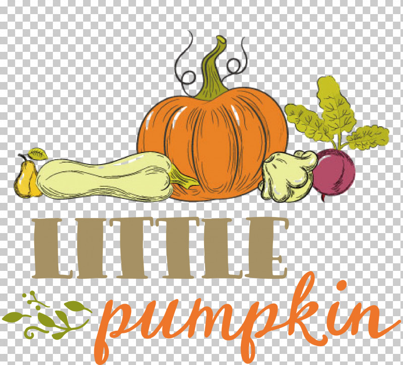Little Pumpkin Thanksgiving Autumn PNG, Clipart, Autumn, Courge, Crookneck Squash, Cucumber, Field Pumpkin Free PNG Download