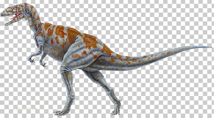Teinurosaurus Reptile Dinosaur Cretaceous Megalosaurus PNG, Clipart, Animals, Carnivore, Dinosaur Egg, Dinosaur Footprints, Dinosaur Silhouette Free PNG Download