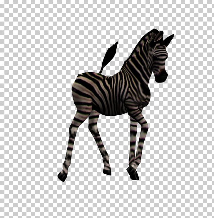 Zebra Foal Quagga Horse PNG, Clipart, Animal, Animal Figure, Animals, Black And White, Elephant Free PNG Download